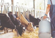 Üretimin arttığı dönemde sanayici alım yapmayacağını açıkladı