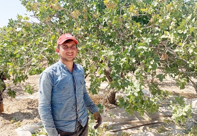 Urfa Antepfıstığı üretiminde ilk sırada yer aldı