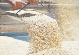 Urfa TMO'da 70 milyonluk vurgun: 'Yolsuzluk AKP'li isimlere uzanıyor' iddiası