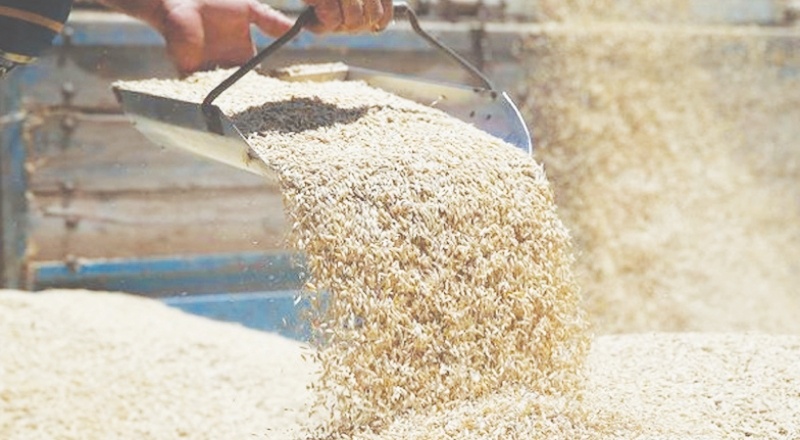 Urfa TMO'da 70 milyonluk vurgun: 'Yolsuzluk AKP'li isimlere uzanıyor' iddiası