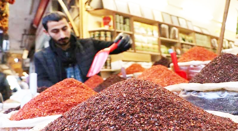 Urfa'ya 'İsot Müzesi' kuruluyor