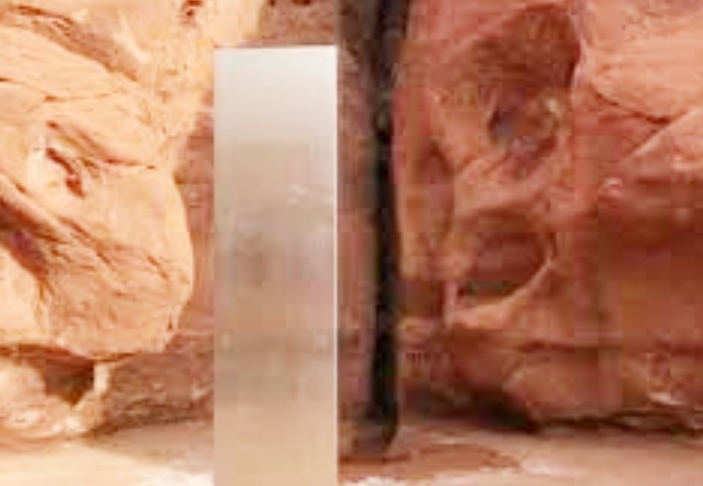 Utah'ta kırmızı taşların arasında "gizemli" bir monolit bulundu