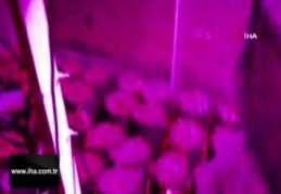 Uyuşturucu imalatı için akıl almaz yöntem