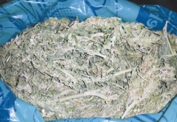 Uyuşturucu operasyonu: 2 gözaltı 