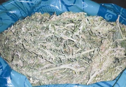 Uyuşturucu operasyonu: 2 gözaltı 