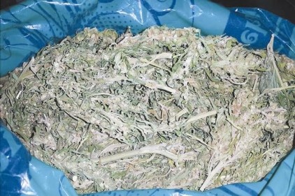 Uyuşturucu operasyonu: 2 gözaltı 
