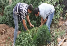 Uyuşturucu operasyonunda 3 kişi gözaltında