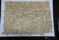 Uyuşturucu operasyonunda 1 kişi tutuklandı