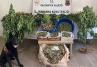 Uyuşturucu operasyonunda 1 tutuklama