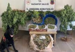 Uyuşturucu operasyonunda 1 tutuklama