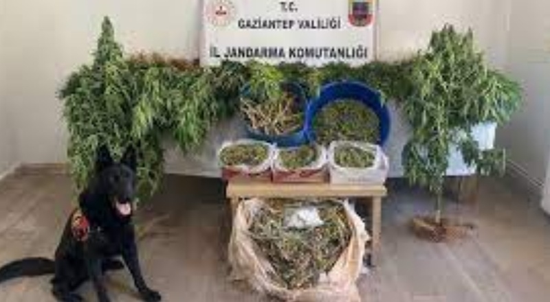 Uyuşturucu operasyonunda 1 tutuklama