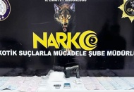 Uyuşturucu operasyonunda 9 gözaltı