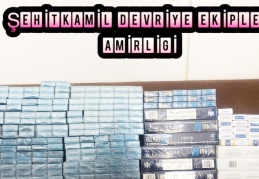 Uyuşturucu ve hırsızlık zanlıları yakalandı