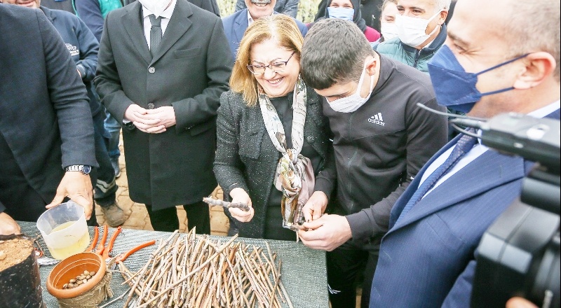 Üzüm, incir fidanı ve Antep fıstığı tohumları toprakla buluştu