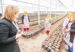 Üzüm, incir fidanı ve Antep fıstığı tohumları toprakla buluştu