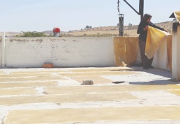 Üzüm salkımları, şıraya dönüşüyor