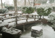 Uzun bir aradan sonra Gaziantep beyaza büründü