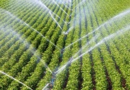 “Vahşi sulamaya son vermemiz şart”