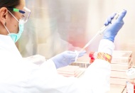 Vaka sayısı yeniden 8 binlere çıktı