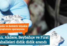 Vatan, Akdere, Beybahçe ve Fırat mahalleleri didik didik arandı