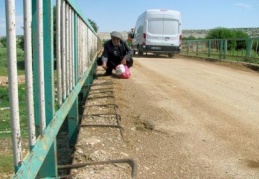 Vatandaş köprünün yenilenmesini istiyor