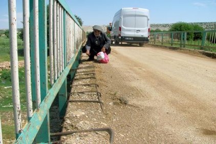 Vatandaş köprünün yenilenmesini istiyor