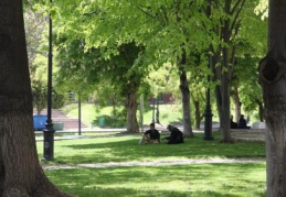 Vatandaş parklara akın ediyor