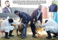 Vatandaşa, kaliteli ve sağlıklı ürünün sunulması sağlanacak