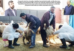 Vatandaşa, kaliteli ve sağlıklı ürünün sunulması sağlanacak