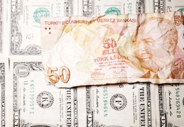 Vatandaşlar, Euro satıp dolar aldı