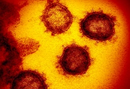 Vee… Mutasyonlu virüs Gaziantep’te!!!