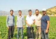 Verimden memnun olan çiftçiler, masraftan dertli