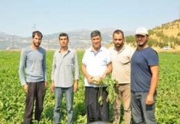 Verimden memnun olan çiftçiler, masraftan dertli