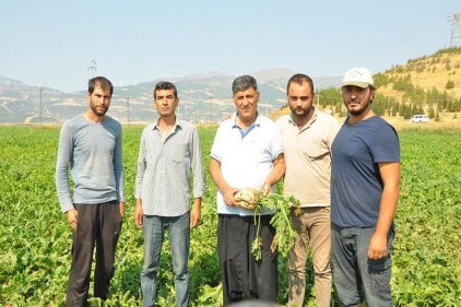 Verimden memnun olan çiftçiler, masraftan dertli