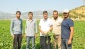 Verimden memnun olan çiftçiler, masraftan dertli