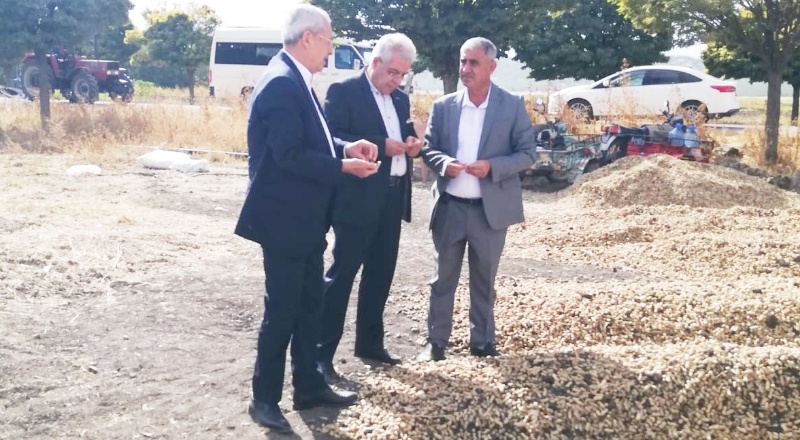 Verimin düşmesi gıda krizine neden olacak