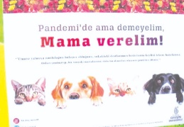 Virüs bulaşır korkusuyla sokak hayvanlarını besleme oranı yüzde 47 düştü