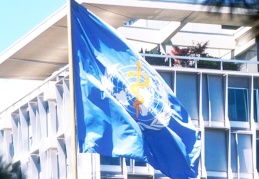 WHO üye ülkeleri virüsun yeni tipine karşı toplantıya çağırdı