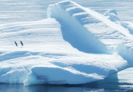 WMO, Sibirya'da kaydedilen rekor sıcaklığı doğruladı