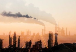 WWF: İklim Değişikliği Akdeniz’deki canlı türlerini tehdit ediyor 