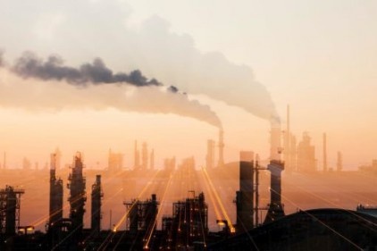 WWF: İklim Değişikliği Akdeniz&#8217;deki canlı türlerini tehdit ediyor 