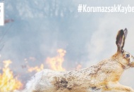 WWF Türkiye: Yangından etkilenen canlıların yaralarını sarmak için harekete geçiyoruz