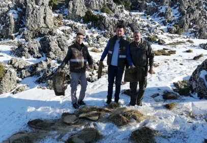 Yaban hayvanları için doğaya yem bırakıldı