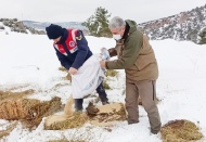Yaban hayvanları için doğaya yiyecek bırakıldı