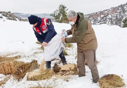 Yaban hayvanları için doğaya yiyecek bırakıldı