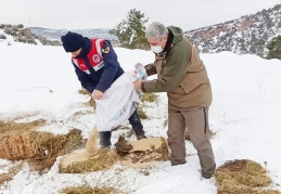 Yaban hayvanları için doğaya yiyecek bırakıldı