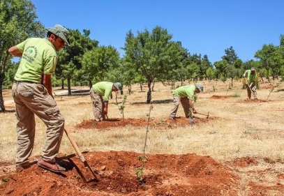 Yaban hayvanları için meyve bahçesi oluşturuldu