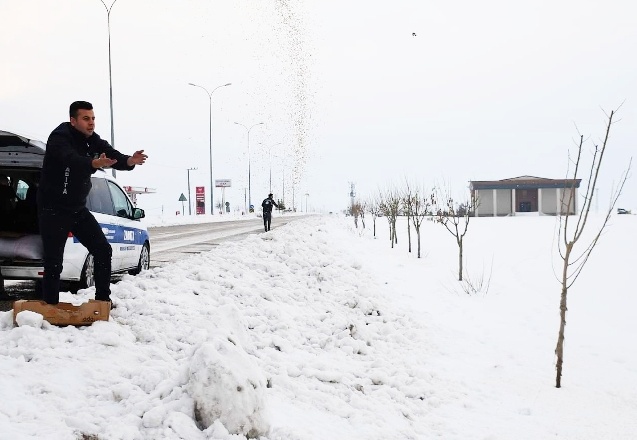 Yaban hayvanları unutulmadı
