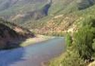 Yaban hayvanlarına yönelik ekolojik köprüler kurulacak