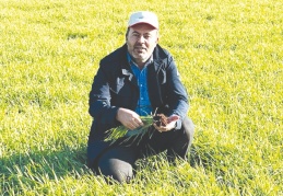 Yağış alamazsak hububat rekoltesi yüzde 80 düşebilir